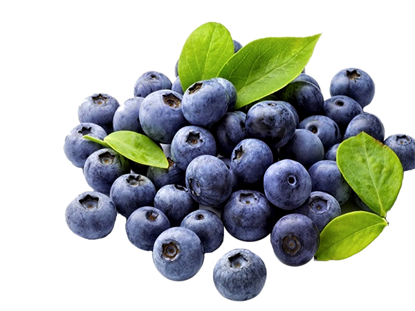 Arandanos