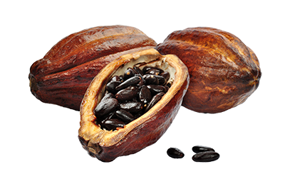 Cacao