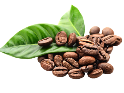 Cafe-new Cafe-new