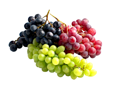 Uvas-new